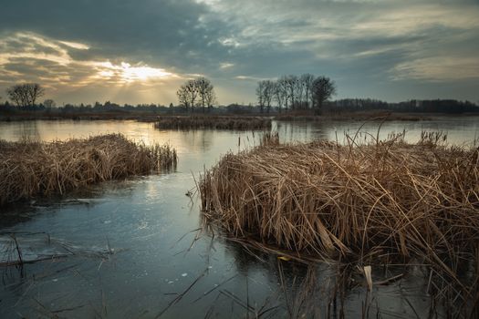 Reeds and a frozen lake, evening clouds and sunshine, Stankow, Lubelskie, Poland
