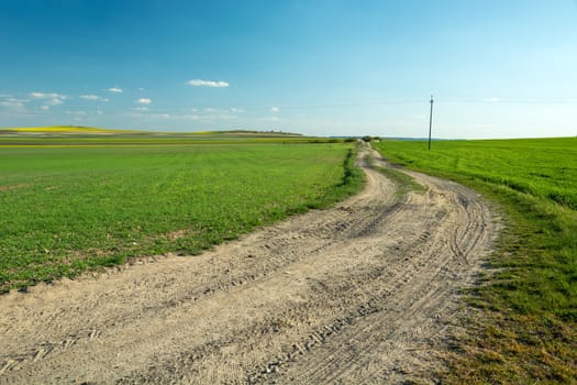 Sandy road through green fields and blue sky, spring view