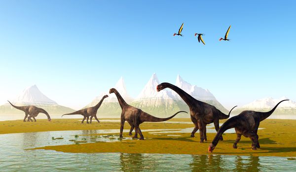 Dsungaripterus Pterosaurs fly over a herd of herbivorous Brontomerus dinosaurs eating low growing vegetation.