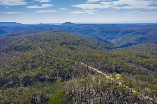 Aerial view of a dirt track running through forest affected by bushfires in The Blue Mountains in regional New South Wales in Australia