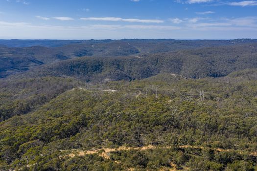 Aerial view of a dirt track running through forest affected by bushfires in The Blue Mountains in regional New South Wales in Australia