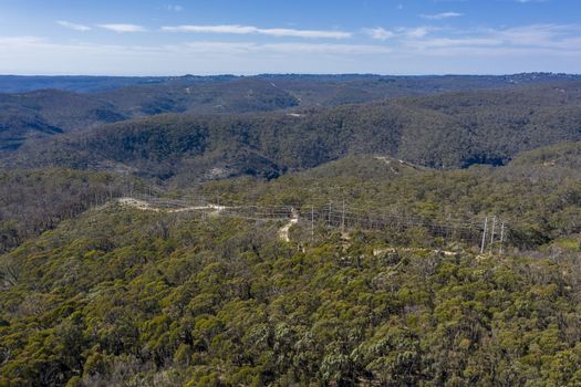 Aerial view of a dirt track running through forest affected by bushfires in The Blue Mountains in regional New South Wales in Australia