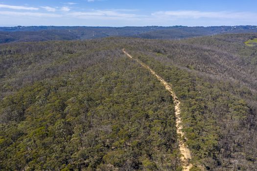 Aerial view of a dirt track running through forest affected by bushfires in The Blue Mountains in regional New South Wales in Australia