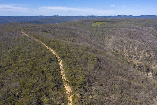 Aerial view of a dirt track running through forest affected by bushfires in The Blue Mountains in regional New South Wales in Australia