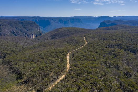 Aerial view of a dirt track running through forest affected by bushfires in The Blue Mountains in regional New South Wales in Australia