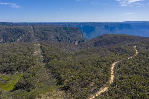 Aerial view of a dirt track running through forest affected by bushfires in The Blue Mountains in regional New South Wales in Australia