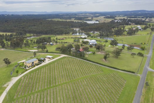 Aerial view of a vineyard in the Hunter Valley in regional New South Wales in Australia