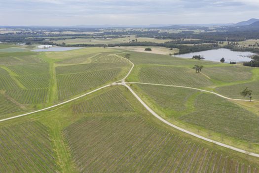 Aerial view of a vineyard in the Hunter Valley in regional New South Wales in Australia