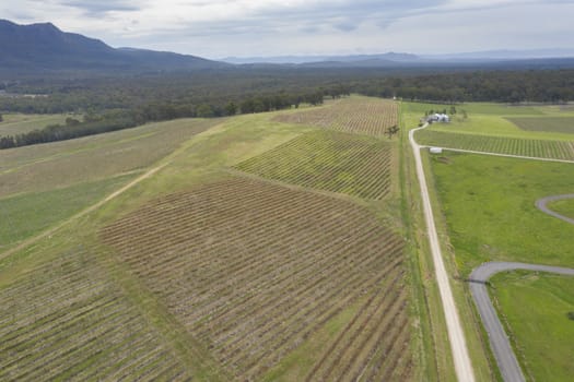 Aerial view of a vineyard in the Hunter Valley in regional New South Wales in Australia