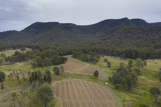 Aerial view of a vineyard in the Hunter Valley in regional New South Wales in Australia