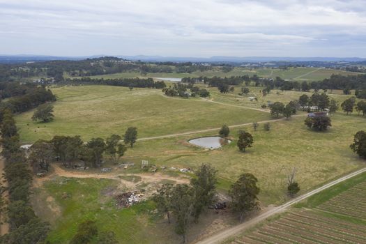 Aerial view of a vineyard in the Hunter Valley in regional New South Wales in Australia