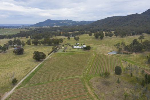 Aerial view of a vineyard in the Hunter Valley in regional New South Wales in Australia