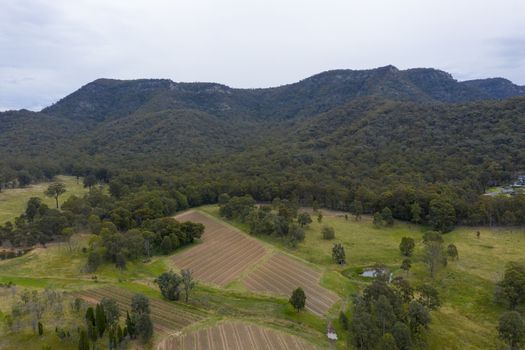 Aerial view of a vineyard in the Hunter Valley in regional New South Wales in Australia