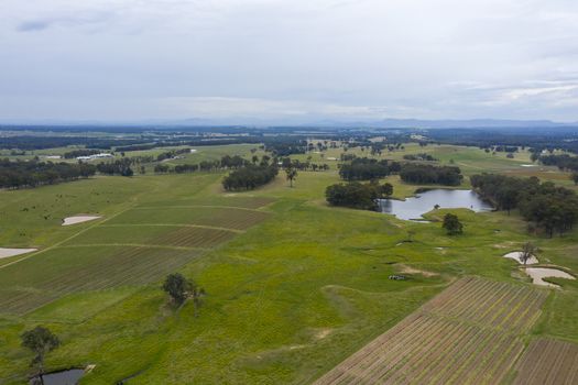 Aerial view of a vineyard in the Hunter Valley in regional New South Wales in Australia