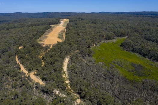 An old unused regional airfield in a large forest in regional Australia