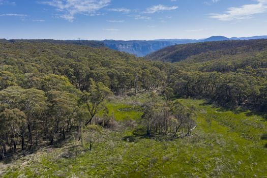 Aerial view of forest regeneration after bushfires in The Blue Mountains in regional New South Wales in Australia