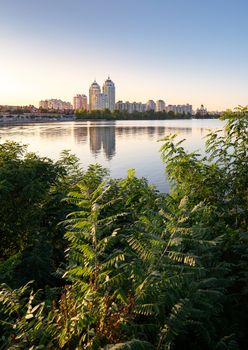 High Obolon buildings near the Dnieper river in Kiev, Ukraine. Blue clear sky and reflection in the water. Various plant and vegetation in the foreground