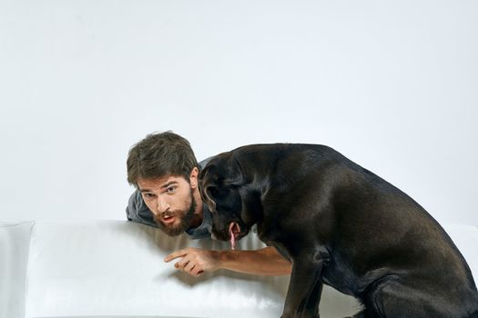 Close-up cropped view of a man with a dog on a light sofa indoors. High quality photo