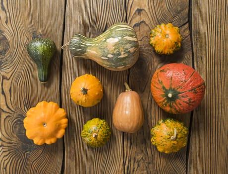 Variety of pumpkins on a wood background. Harvest concept flat lay.