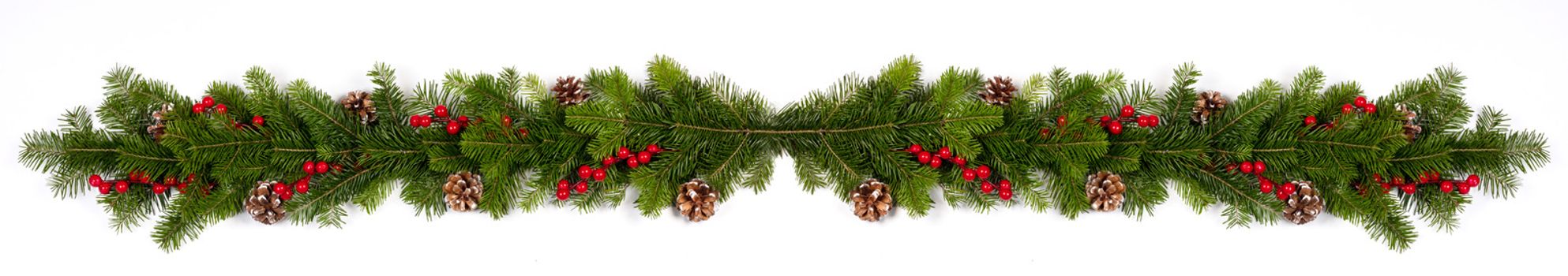 Winter and Christmas fir berries and cones composition isolated on white background with copy space