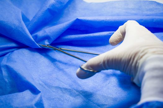 Surgery forceps doctors hand on the blue background, studio shoot. Operation equipment.