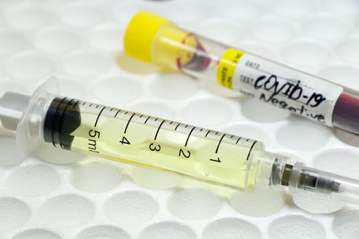 Medical needle and blood tube, corona virus or covid-19 vaccine. Close-up and studio shoot.