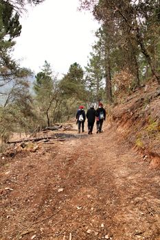 Riopar, Albacete, Spain- February 8, 2019: Walkers through Mountains between with green vegetation in winter in Riopar, Castilla la Mancha, Spain