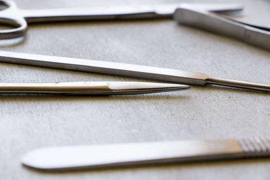 Dissection Kit - Stainless Steel Tools for Medical Students of Anatomy, Biology, Veterinary, Marine Biology