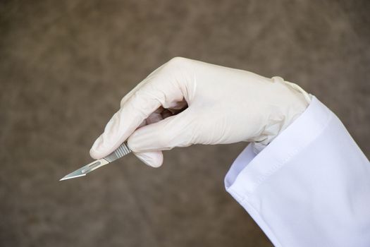 Surgery knife in doctors hand. Operation equipment, hand, glove, and blade on the gray background.