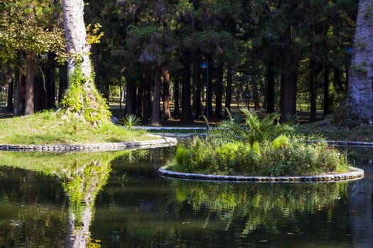 Pond in the park, Zugdidi Botanic garden in Georgia.