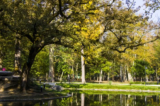 Pond in the park, Zugdidi Botanic garden in Georgia.