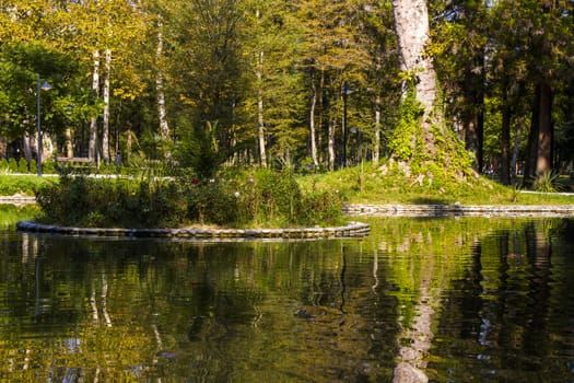 Pond in the park, Zugdidi Botanic garden in Georgia.