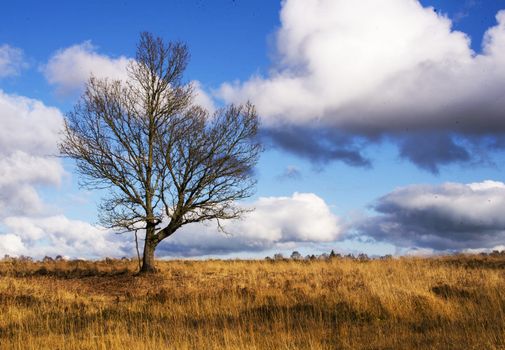 Beautiful pictures of  Belgium