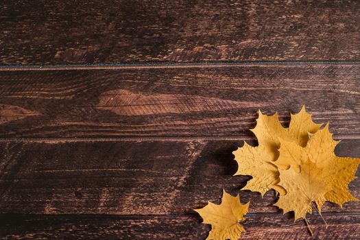 yellow autumn maple leaves lie on a brown wooden background, autumn background, September, October, November, dry autumn leaves, leaf fall, copyspace, flatlay, top view, overhead.