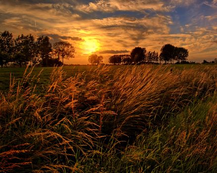 Beautiful pictures of  Belgium