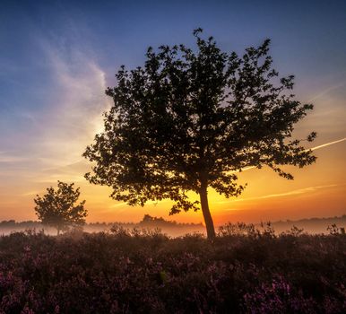 Beautiful pictures of  Belgium