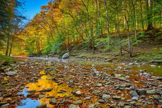 Colorful Fall leaves along War Creek next to Turkey Foot Campground in the Daniel Boone National Forest near McKee, KY.
