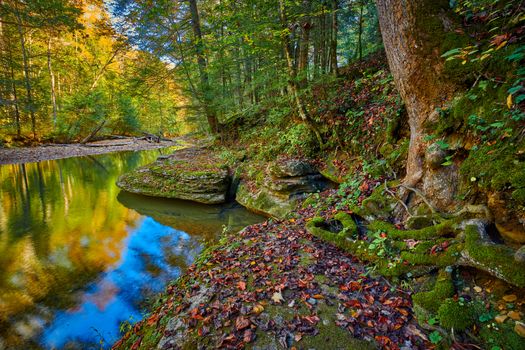 View of rock features along War Creek next to Turkey Foot Campground near McKee, KY.