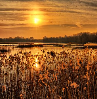 Beautiful pictures of  Belgium