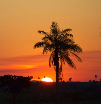 Beautiful pictures of  Brazil