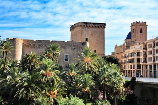 Elche, Alicante, Spain- December 12, 2018: Beautiful and Lush landscape of the Vinalopo riverbed in Elche, Alicante. People walking between vegetation.