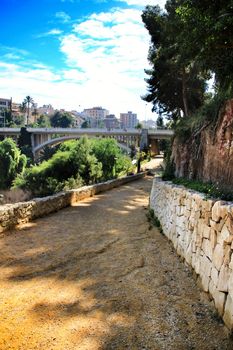 Elche, Alicante, Spain- December 12, 2018: Beautiful and Lush landscape of the Vinalopo riverbed in Elche, Alicante. People walking between vegetation.