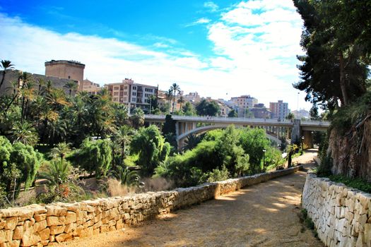 Elche, Alicante, Spain- December 12, 2018: Beautiful and Lush landscape of the Vinalopo riverbed in Elche, Alicante. People walking between vegetation.