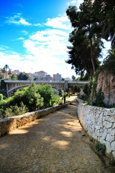 Elche, Alicante, Spain- December 12, 2018: Beautiful and Lush landscape of the Vinalopo riverbed in Elche, Alicante. People walking between vegetation.