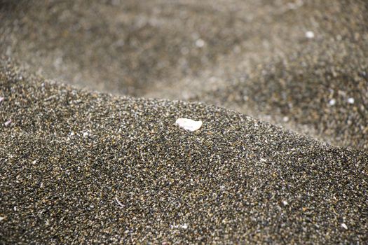 Sea sand background and texture. lights and shadows on the sand. Wallpaper of sand in Georgian Black sea.