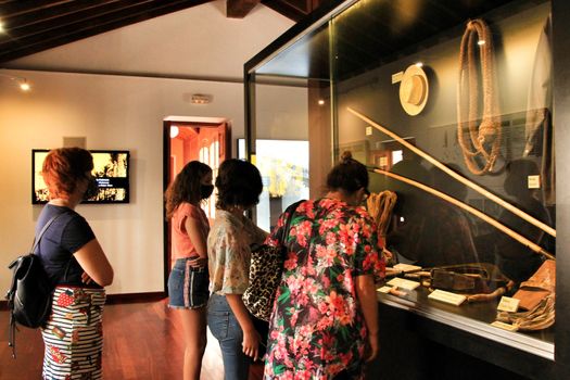 Elche, Alicante, Spain- September 2, 2020: Tourists group visiting the palm tree museum in Elche, Alicante