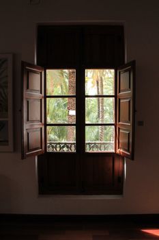 Elche, Alicante, Spain- September 2, 2020: Open window with views to the palm tree forest in the palm tree museum in Elche, Alicante