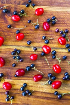 Currant, Cornus and dogberry close-up, food photography