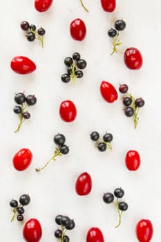 Currant, Cornus and dogberry close-up, food photography