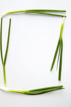 Green onion on the white background